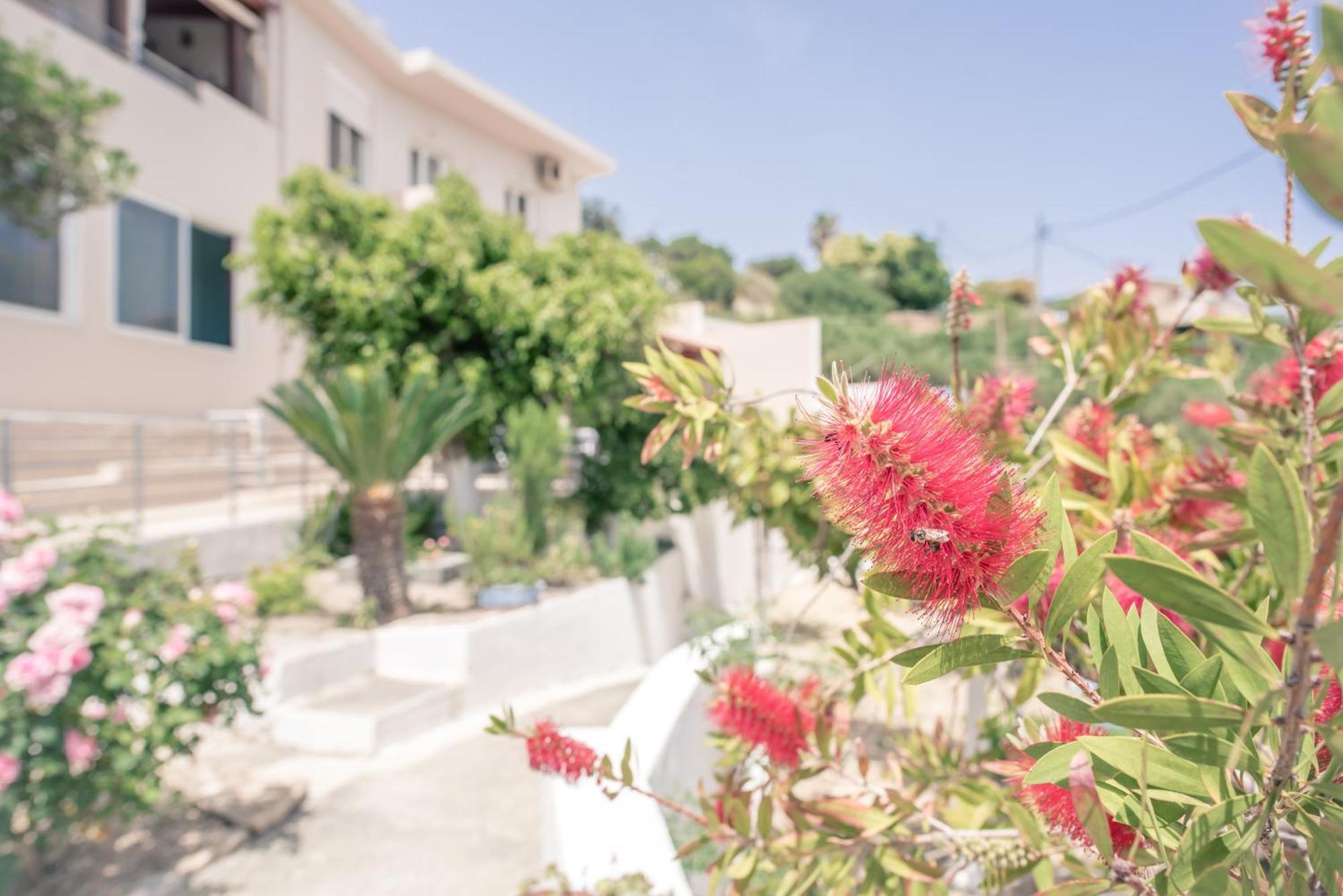 Konstantina's Fairytale House * Kissamos